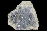 Purple/Gray Fluorite Cluster - Marblehead Quarry Ohio #81185-1